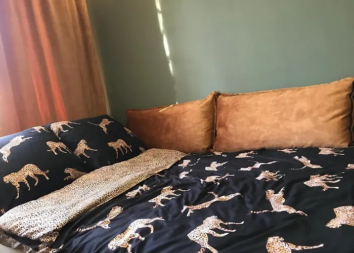Apartament Drochaczynski